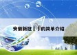 安徽新冠㊙️的简单介绍