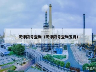 天津限号查询（天津限号查询五月）