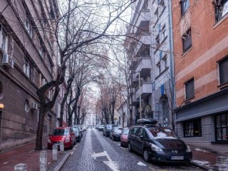 山间采蘑菇的意外邂逅，老鹰袭击事件当事人亲述