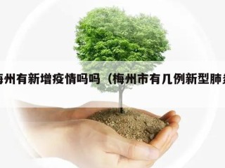 梅州有新增疫情吗吗（梅州市有几例新型肺炎）