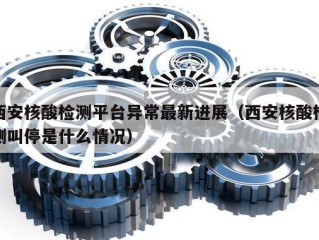 西安核酸检测平台异常最新进展（西安核酸检测叫停是什么情况）