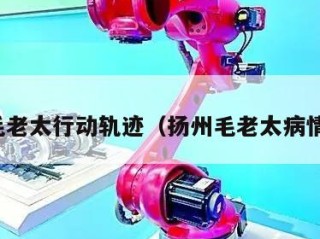 扬州毛老太行动轨迹（扬州毛老太病情怎样）