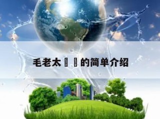 毛老太㊙️的简单介绍