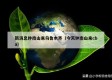 新消息钟南山来乌鲁木齐（今天钟南山来cba）