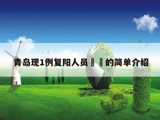 青岛现1例复阳人员㊙️的简单介绍