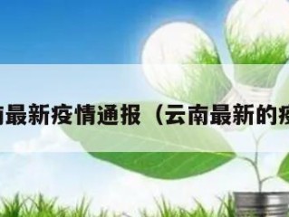 云南最新疫情通报（云南最新的疫情）