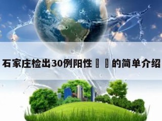 石家庄检出30例阳性㊙️的简单介绍